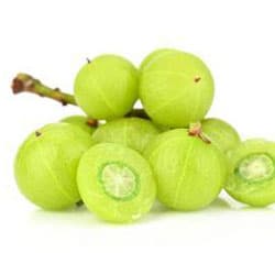 Amla kivonat