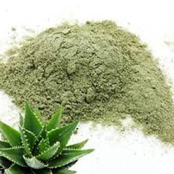 Aloe vera por