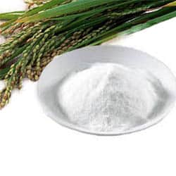 Kojic sav