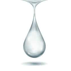 Sodium PCA