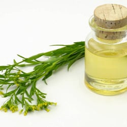 Camelina olaj