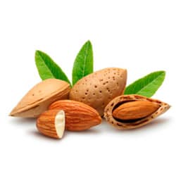 Bio Mandulaolaj