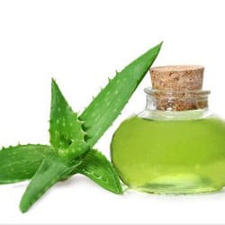 Aloe vera olaj