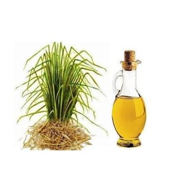 Vetiver olaj