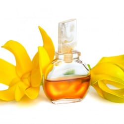 Ylang olaj
